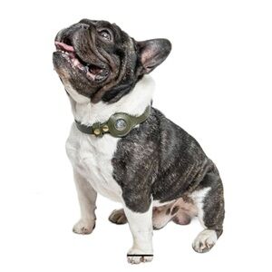 Aircollar Dog Collar Airtag Holder Top-Grain Leather Durable GPS Tracker Green M